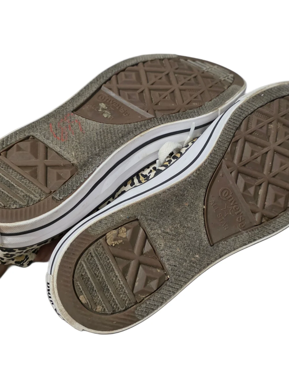 Converse Chuck Taylor Low Top Sneakers - Leopard Print - Picture 9 of 10